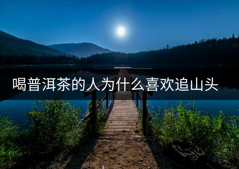 喝普洱茶的人為什么喜歡追山頭？無非就是這幾個原因