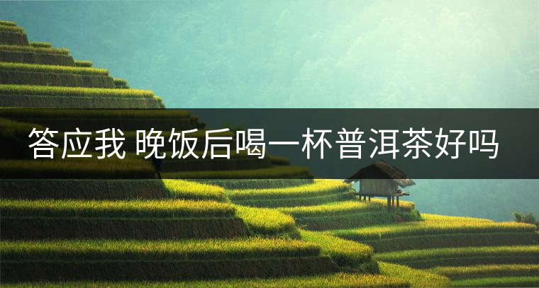 答應(yīng)我 晚飯后喝一杯普洱茶好嗎？