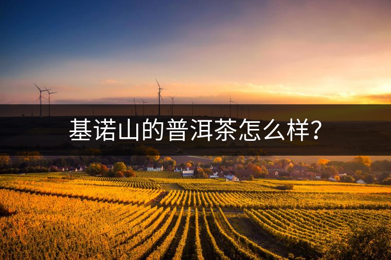 基諾山的普洱茶怎么樣？