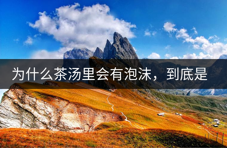 為什么茶湯里會有泡沫，到底是怎么回事？