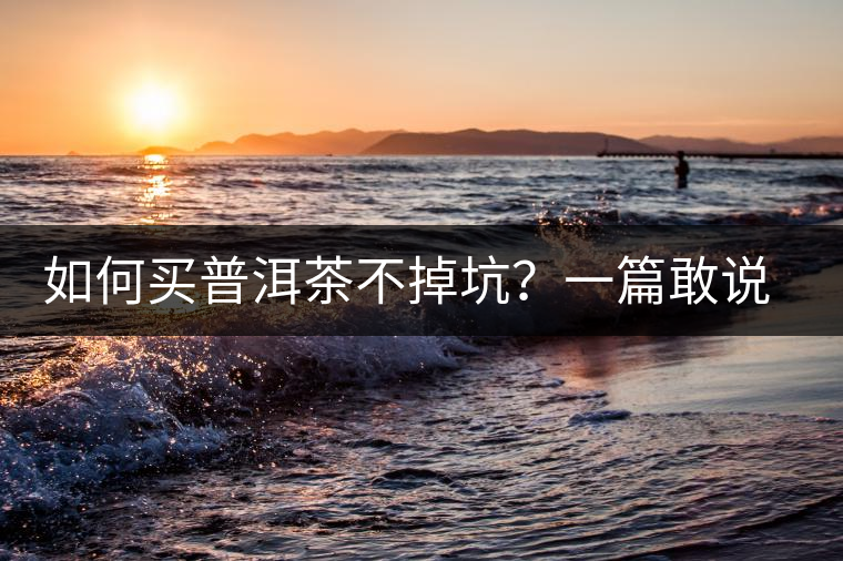 如何買普洱茶不掉坑？一篇敢說真話的良心之作。