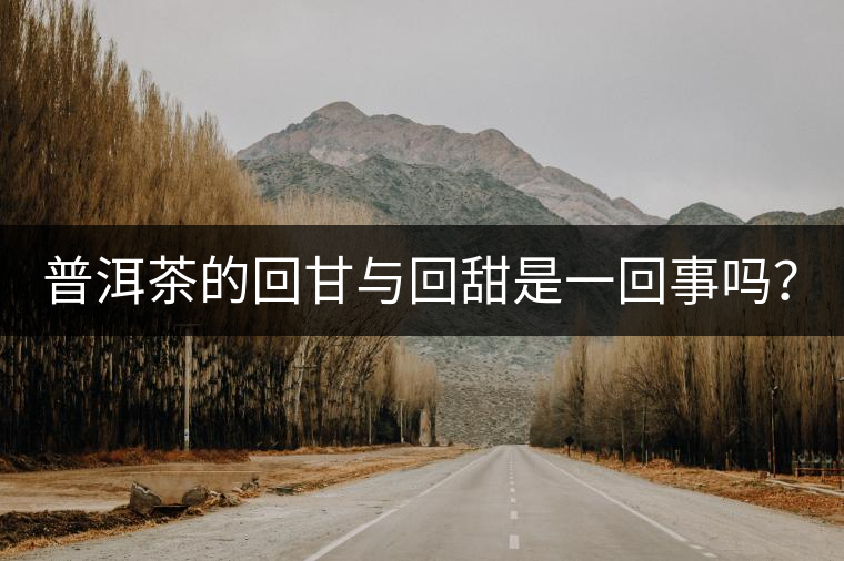 普洱茶的回甘與回甜是一回事嗎？？