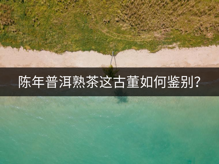 陳年普洱熟茶這古董如何鑒別？