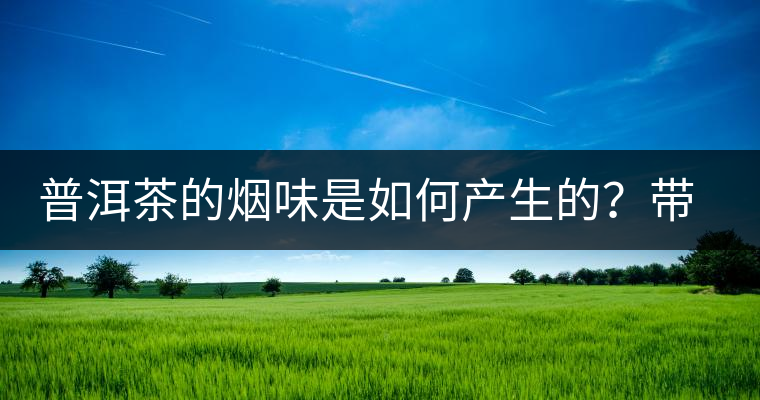 普洱茶的煙味是如何產(chǎn)生的？帶煙味的普洱茶是好還是壞？
