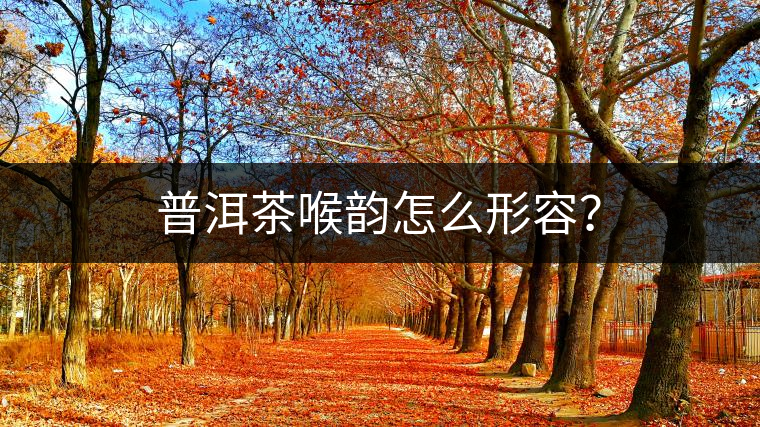 普洱茶喉韻怎么形容？