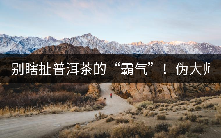 別瞎扯普洱茶的“霸氣”！偽大師！