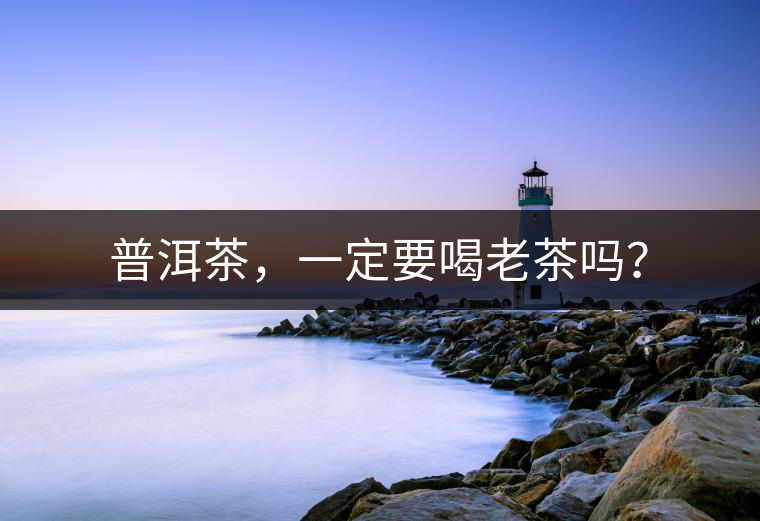 普洱茶，一定要喝老茶嗎？