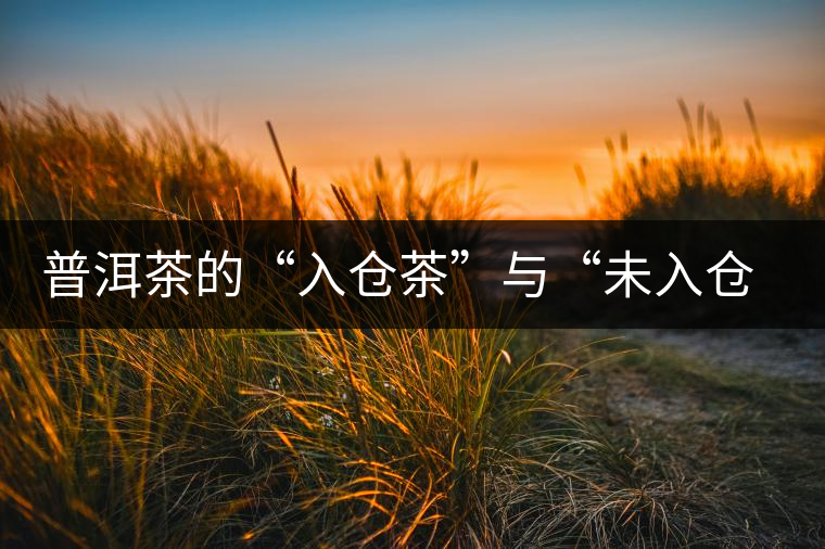 普洱茶的“入倉茶”與“未入倉茶”如何區(qū)分，你造嗎？