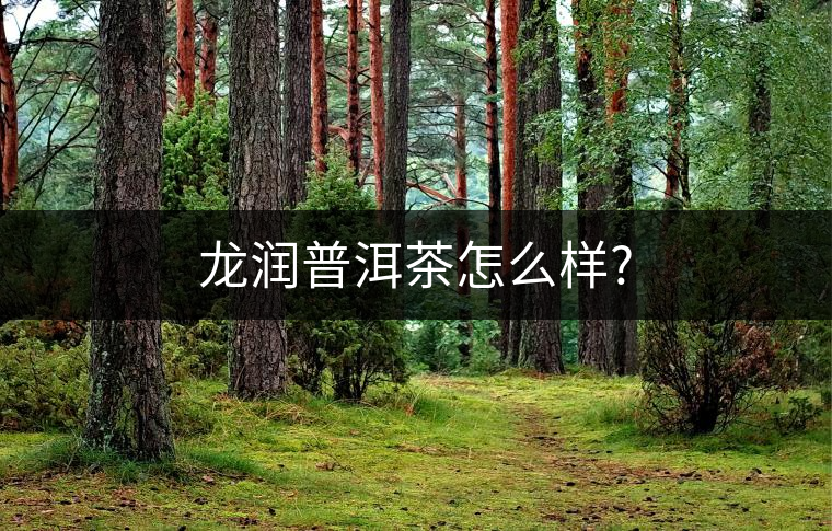龍潤(rùn)普洱茶怎么樣? 龍潤(rùn)普洱茶怎么樣?