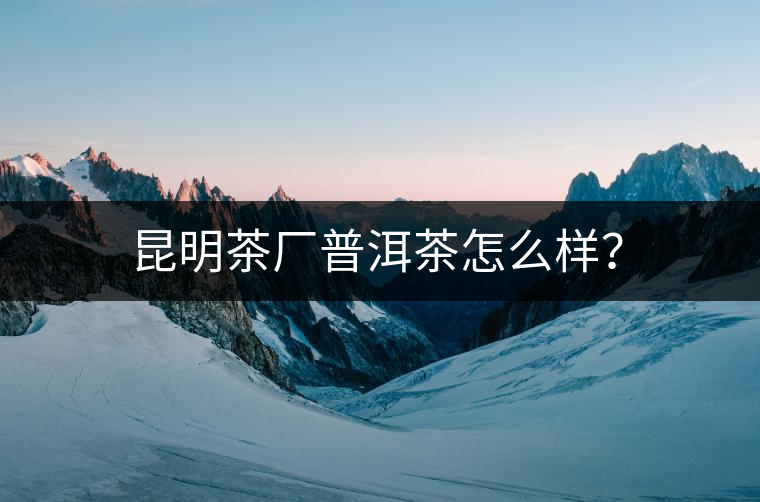 昆明茶廠普洱茶怎么樣？