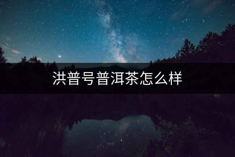 洪普號普洱茶怎么樣