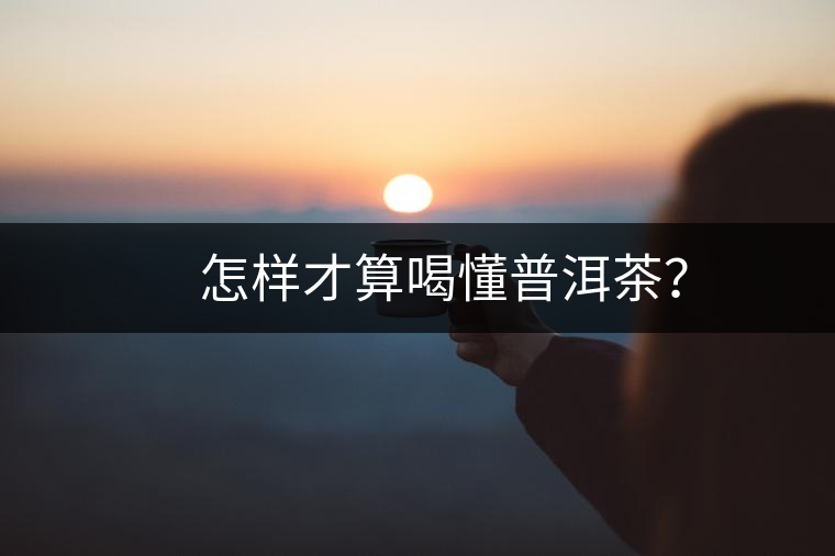 　怎樣才算喝懂普洱茶？