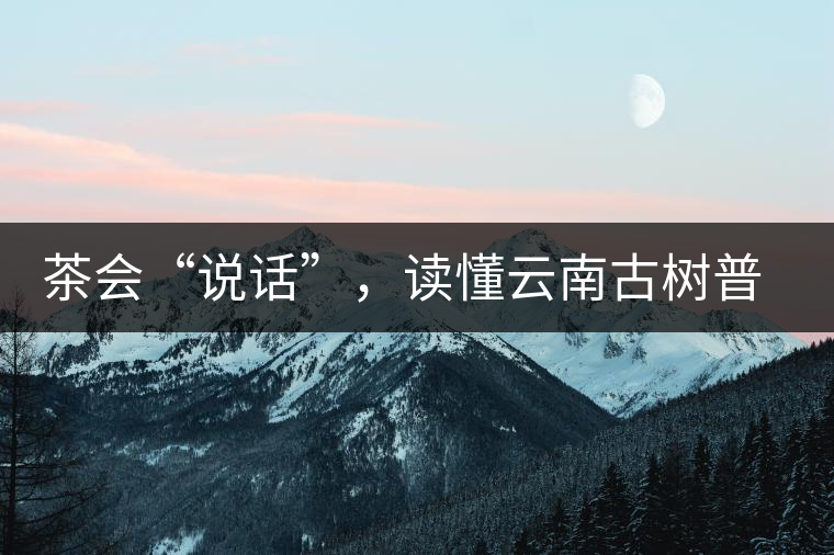 茶會“說話”，讀懂云南古樹普洱茶的秘訣