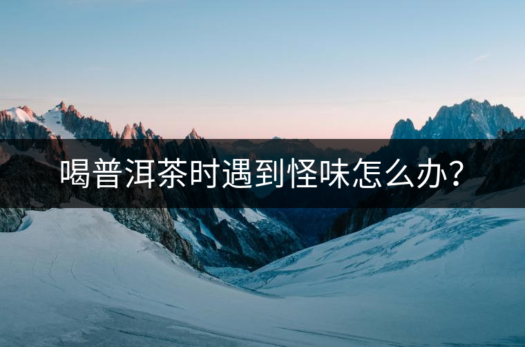 喝普洱茶時(shí)遇到怪味怎么辦? 喝普洱茶時(shí)遇到怪味怎么辦?