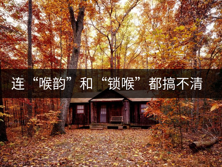 連“喉韻”和“鎖喉”都搞不清楚，就不要說懂普洱茶！