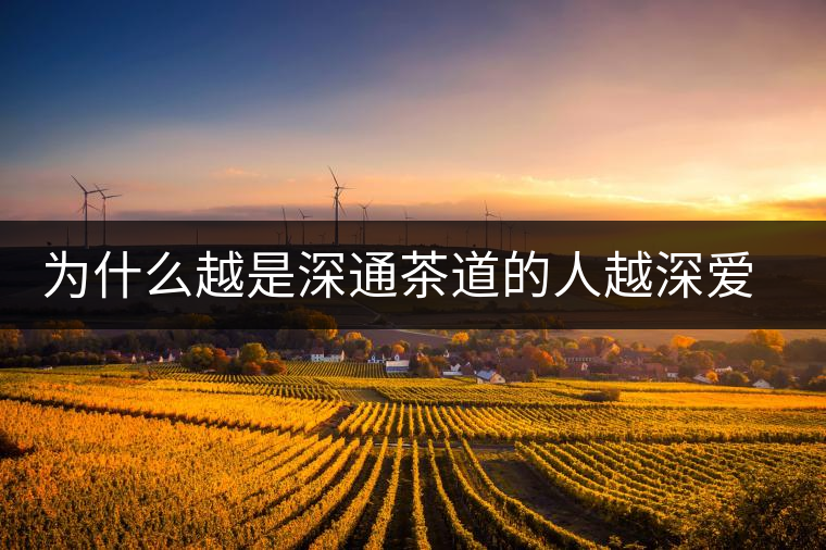 為什么越是深通茶道的人越深愛普洱茶？喜歡普洱茶，有三個(gè)原因。