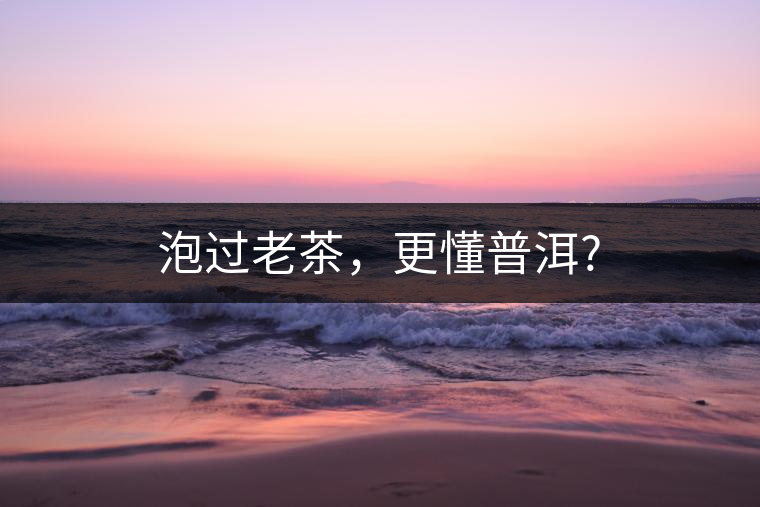 泡過(guò)老茶，更懂普洱?