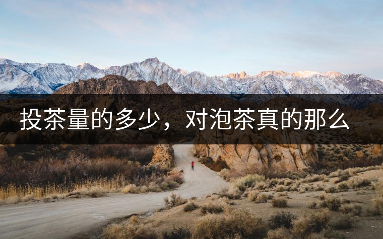 投茶量的多少，對泡茶真的那么重要嗎？