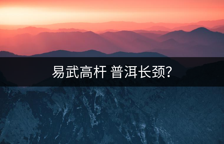 易武高桿 普洱長頸？