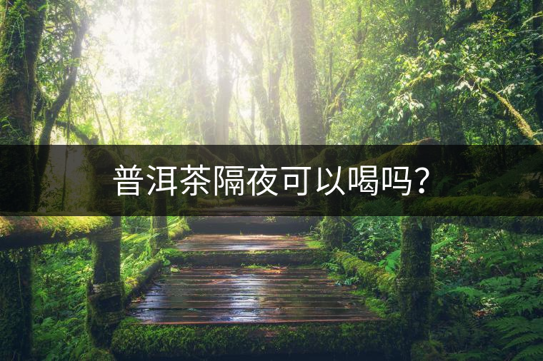 普洱茶隔夜可以喝嗎？
