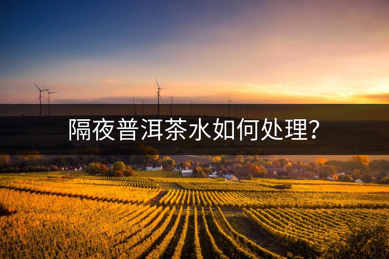 隔夜普洱茶水如何處理？