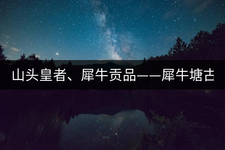 山頭皇者、犀牛貢品——犀牛塘古樹茶！