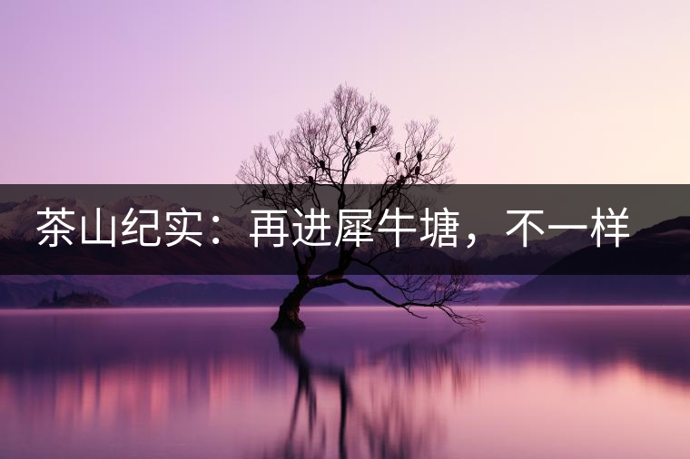 茶山紀實：再進犀牛塘，不一樣的感覺；菁瑤可以預見的豐收年