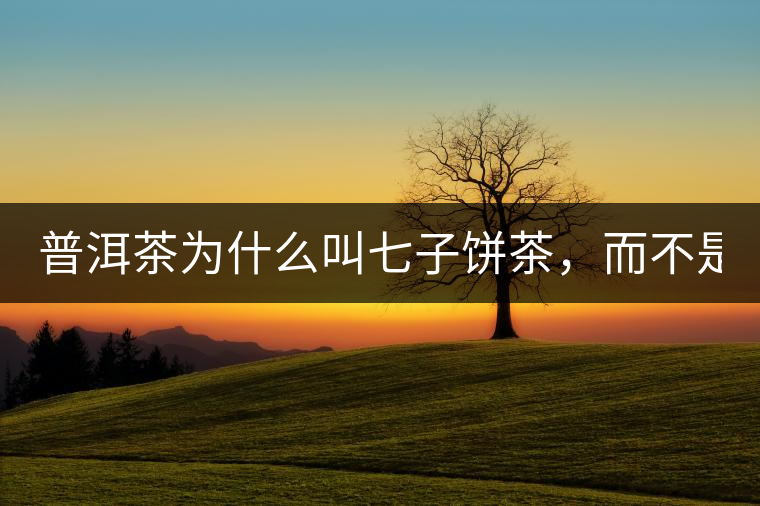 普洱茶為什么叫七子餅茶，而不是六子餅、八子餅......？