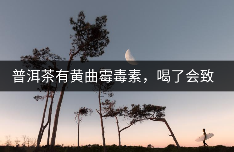 普洱茶有黃曲霉毒素，喝了會(huì)致癌？不黑不吹，咱用事實(shí)說話