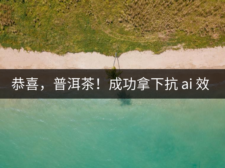 恭喜，普洱茶！成功拿下抗 ai 效果第二名！