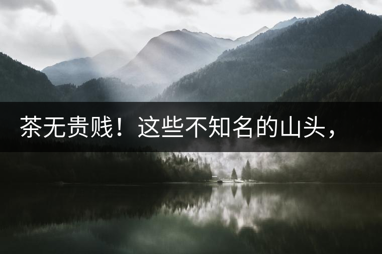 茶無貴賤！這些不知名的山頭，其實也產(chǎn)優(yōu)質(zhì)普洱茶！