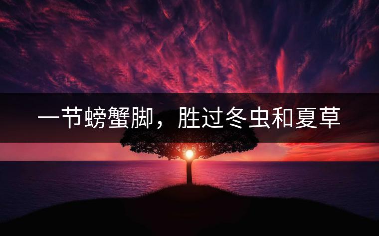 一節(jié)螃蟹腳，勝過冬蟲和夏草