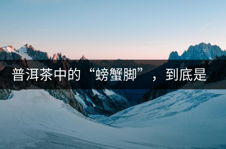 普洱茶中的“螃蟹腳”，到底是什么？如何辨別？