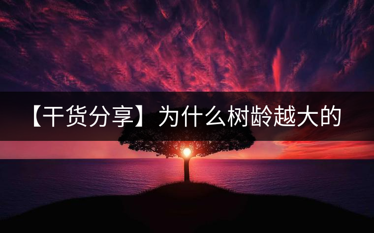 【干貨分享】為什么樹齡越大的普洱生茶，苦味越容易化掉？