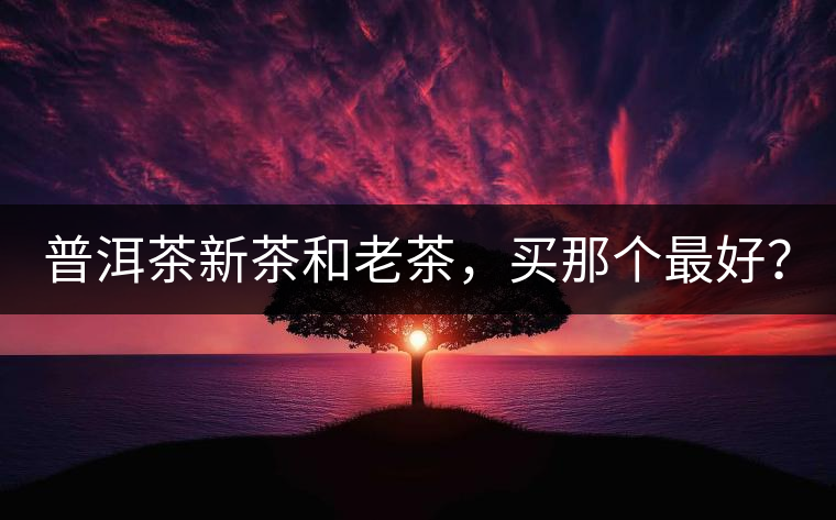 普洱茶新茶和老茶，買那個(gè)最好？