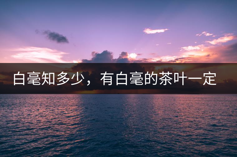 白毫知多少，有白毫的茶葉一定好嗎？