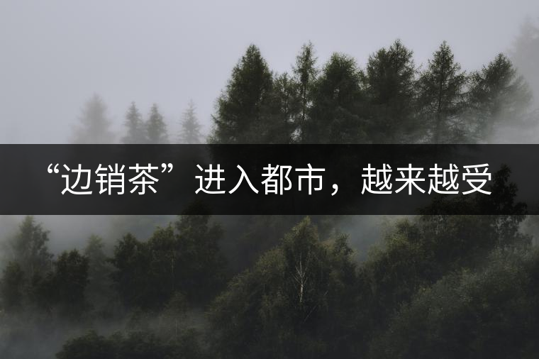 “邊銷茶”進(jìn)入都市，越來(lái)越受人們青睞