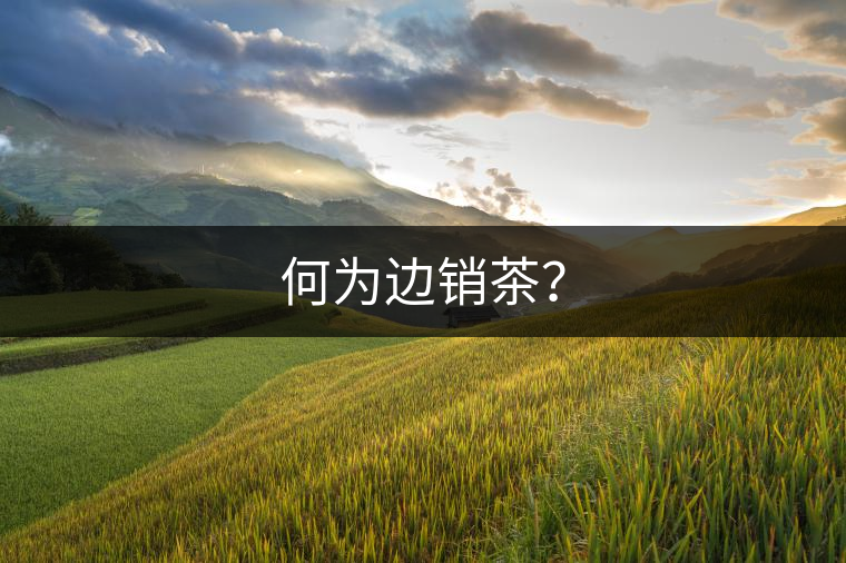 何為邊銷(xiāo)茶？