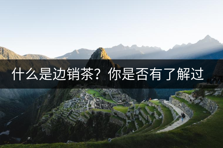 什么是邊銷茶？你是否有了解過邊銷茶呢？