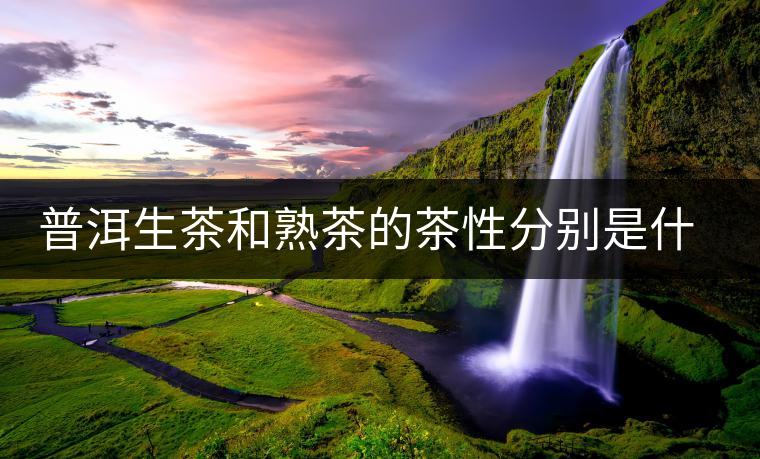 普洱生茶和熟茶的茶性分別是什么？涼性還是熱性？