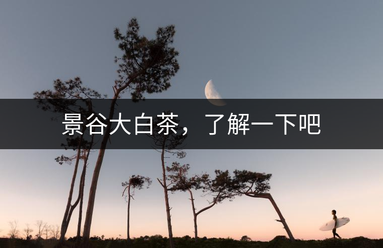 景谷大白茶，了解一下吧