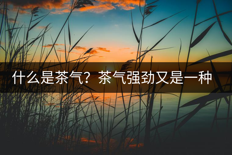 什么是茶氣？茶氣強(qiáng)勁又是一種怎樣的體驗(yàn)？