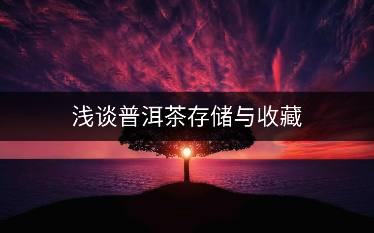 淺談普洱茶存儲(chǔ)與收藏