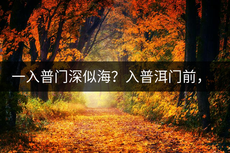 一入普門深似海？入普洱門前，你需要了解這些