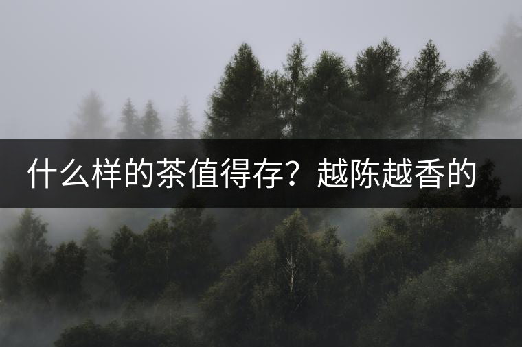 什么樣的茶值得存？越陳越香的本質(zhì)是什么？