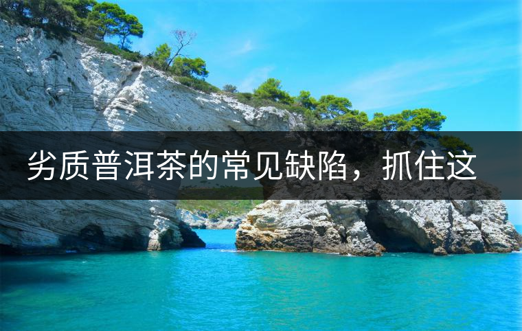 劣質(zhì)普洱茶的常見缺陷，抓住這三個特征，拒絕劣質(zhì)茶！