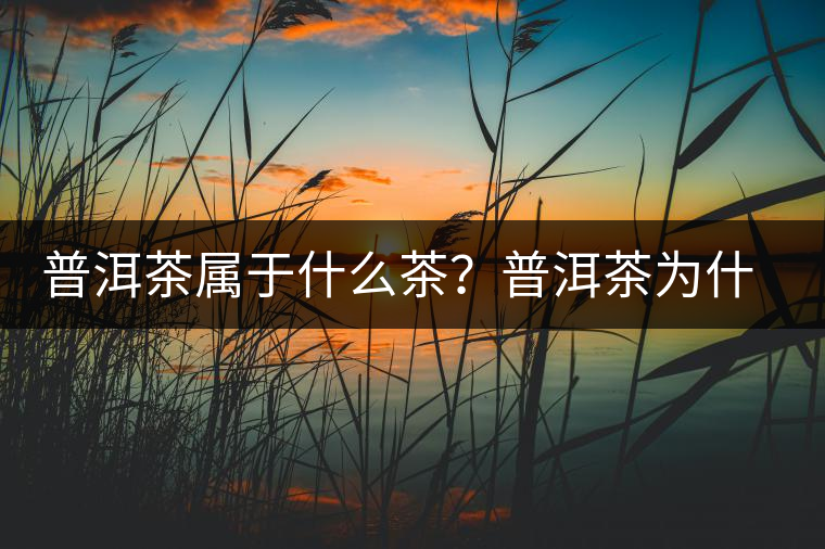 普洱茶屬于什么茶？普洱茶為什么會(huì)越陳越香？