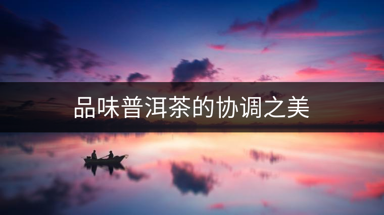 品味普洱茶的協(xié)調(diào)之美