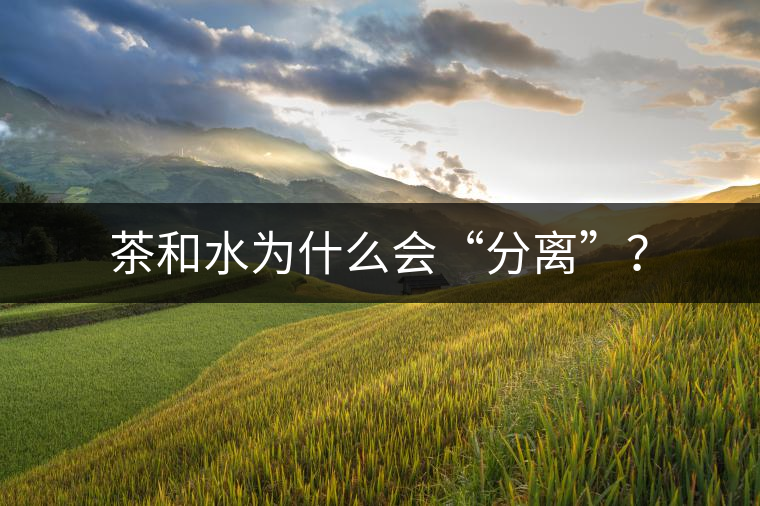 茶和水為什么會(huì)“分離”？