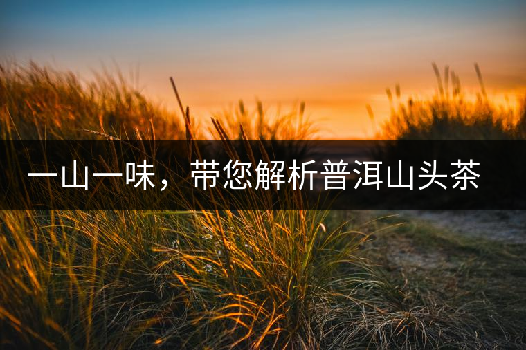 一山一味，帶您解析普洱山頭茶的密碼究竟是什么？